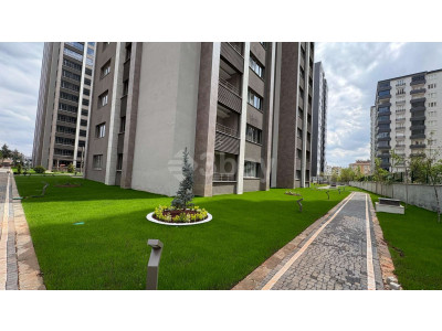 WhatsApp Image 2025-04-29 at 11.13.47 (2).jpeg